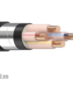 Cáp điện LION-CXV/DATA 25-0.6/1kV cáp hạ thế có giáp bảo vệ ruột Đồng