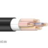 Cáp điện LION-CXV 1.5 cáp hạ thế ruột Đồng