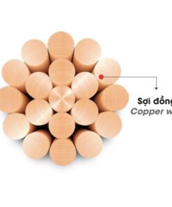 Cáp điện LION-C 10 cáp đồng trần xoắn ruột Đồng