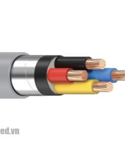 Cáp điện LION-DK-CVV 2x4 cáp hạ thế chậm cháy ruột Đồng