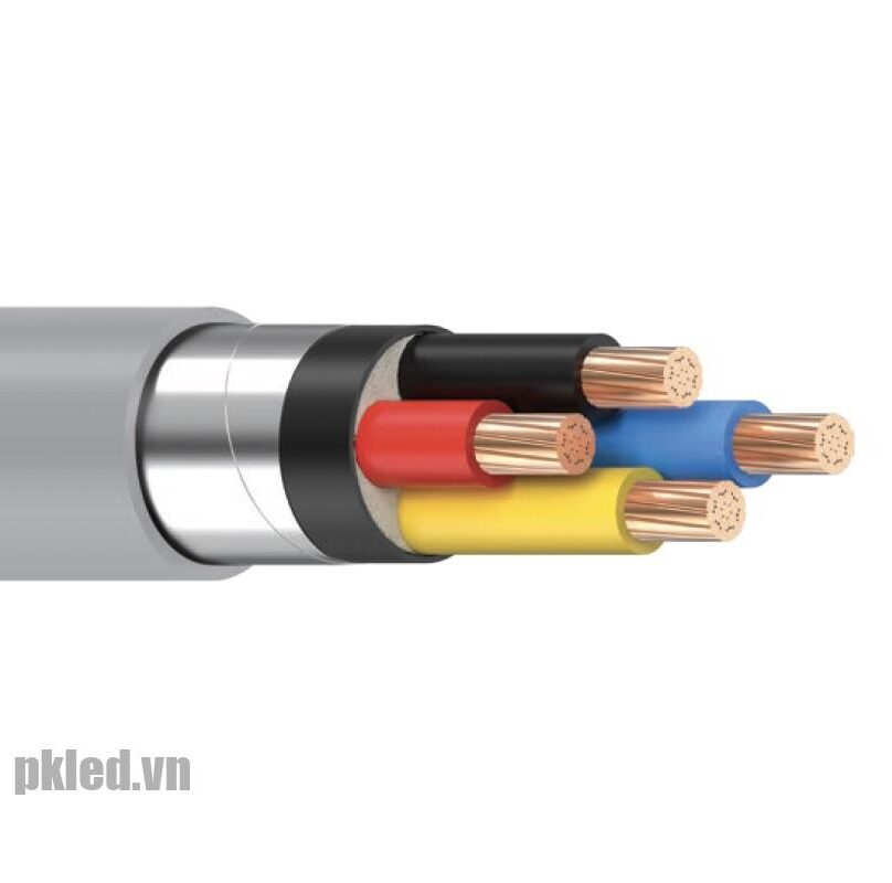 Cáp điện LION-DK-CVV 2x4 cáp hạ thế chậm cháy ruột Đồng