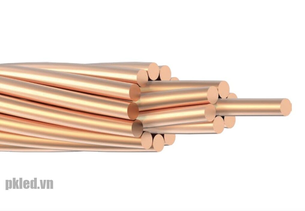 Cáp điện LION-C 10 cáp đồng trần xoắn ruột Đồng