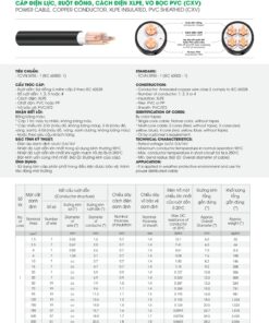 Trang 22 - Tài liệu kỹ thuật đây cáp điện lực CXV LION 2026 (DAPHACO)