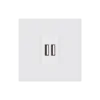 Bộ ổ cắm đôi USB 2000mA Duhal C1B551