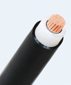 Hình ảnh mô phỏng cấu trúc lõi cáp Cadivi CX1V