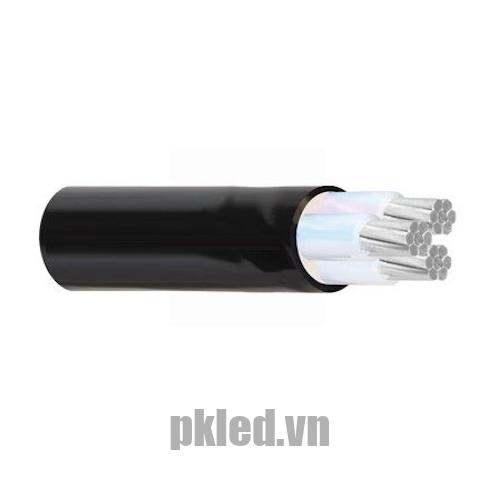 Hình ảnh cấu trúc cáp điện Cadivi nhôm mã AXV/DSTA 3 lõi