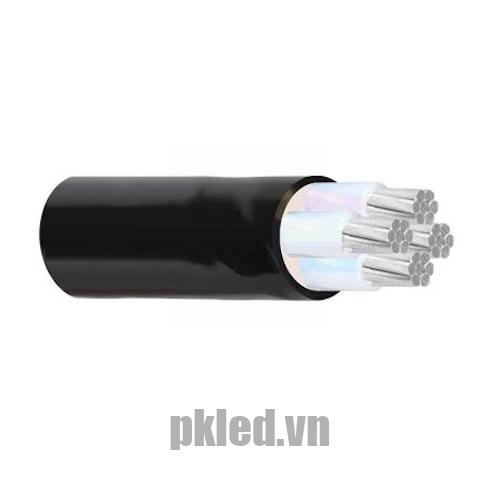 Hình ảnh cấu trúc cáp điện Cadivi nhôm mã AXV/DSTA 4 lõi