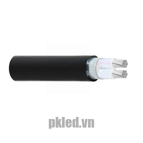 Hình ảnh cấu trúc cáp điện Cadivi nhôm mã AXV/DSTA 2 lõi