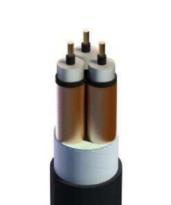 Hình ảnh mô phỏng cấu trúc lõi cáp Cadivi CXV/SE/DSTA