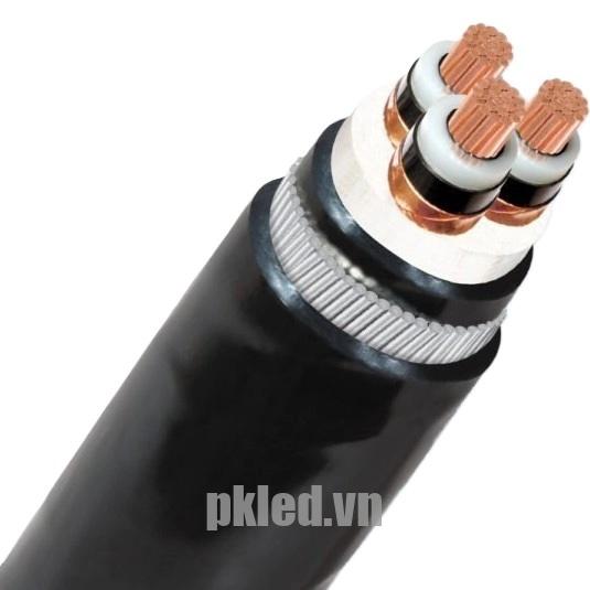 Hình ảnh mô phỏng cấu trúc lõi cáp Cadivi CXV/SE/SWA