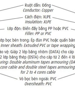 Hình ảnh mô phỏng cấu trúc lõi cáp Cadivi CXV/DATA