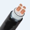 Hình ảnh mô phỏng cấu trúc lõi cáp Cadivi CXV/DSTA 4 lõi