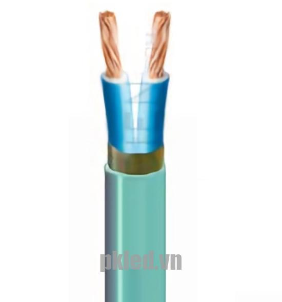 Hình ảnh mô phỏng cấu trúc lõi cáp Cadivi DVV/Sc 2 lõi