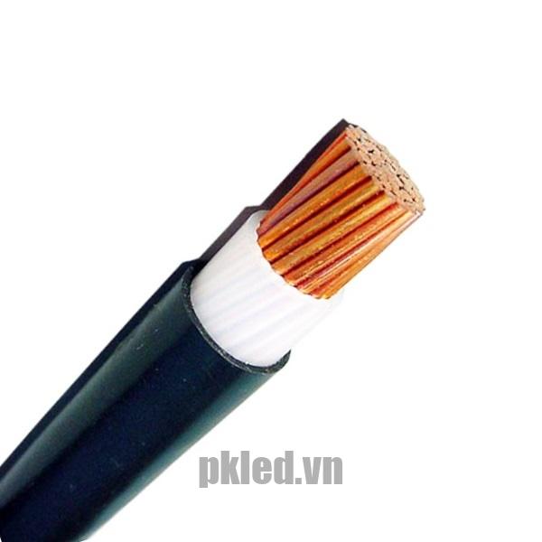Hình ảnh mô phỏng cấu trúc lõi cáp Cadivi CVV 1 lõi