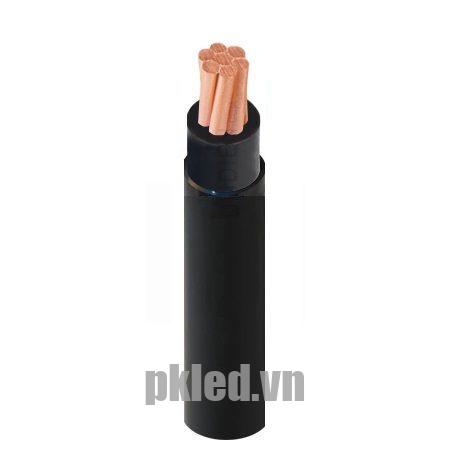Hình ảnh mô phỏng cấu trúc lõi cáp Cadivi CVV 1 lõi
