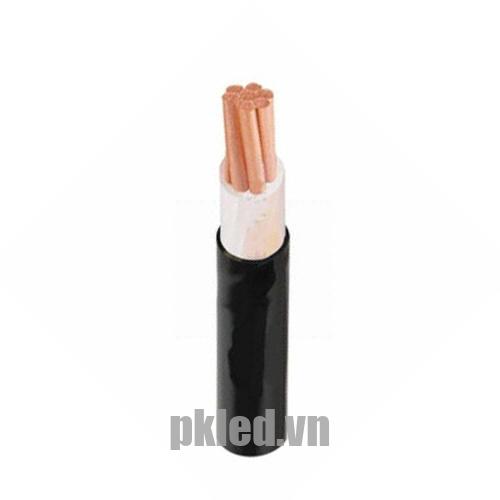 Hình ảnh mô phỏng cấu trúc lõi cáp Cadivi CVV 1 lõi
