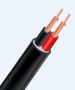 Hình ảnh mô phỏng cấu trúc lõi cáp Cadivi CVV 2 lõi