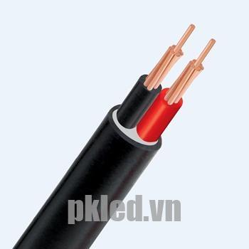 Hình ảnh mô phỏng cấu trúc lõi cáp Cadivi CVV 2 lõi