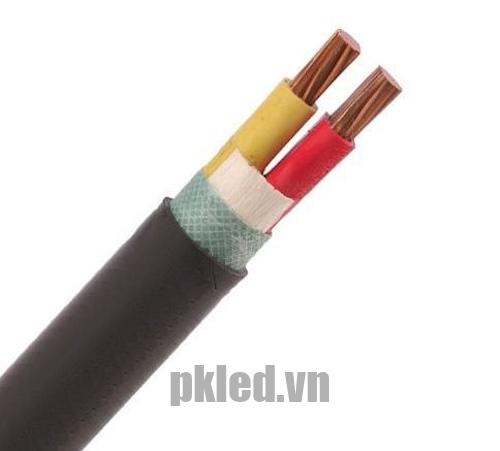 Hình ảnh mô phỏng cấu trúc lõi cáp Cadivi CVV 2 lõi