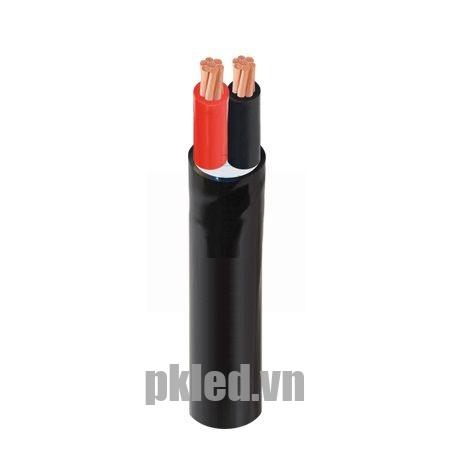 Hình ảnh mô phỏng cấu trúc lõi cáp Cadivi CVV 2 lõi