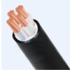 Hình ảnh mô phỏng cấu trúc lõi cáp Cadivi CVV 4 lõi