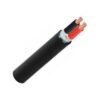 Hình ảnh mô phỏng cấu trúc lõi cáp Cadivi CVV/DSTA 2 lõi