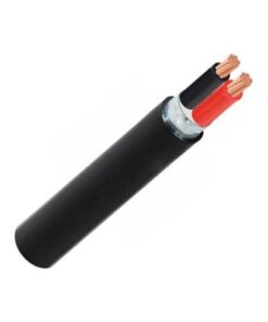 Hình ảnh mô phỏng cấu trúc lõi cáp Cadivi CVV/DSTA 2 lõi