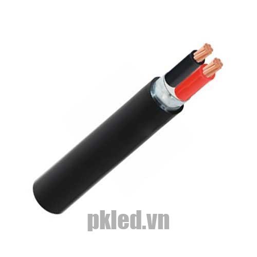Hình ảnh mô phỏng cấu trúc lõi cáp Cadivi CVV/DSTA 2 lõi
