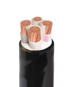 Hình ảnh mô phỏng cấu trúc lõi cáp Cadivi CXV 4 lõi