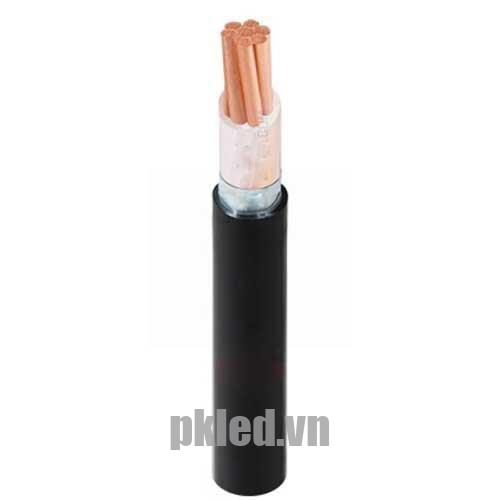 Hình ảnh mô phỏng cấu trúc lõi cáp Cadivi CXV/DSTA 1 lõi