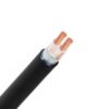 Hình ảnh mô phỏng cấu trúc lõi cáp Cadivi CXV/DSTA 2 lõi