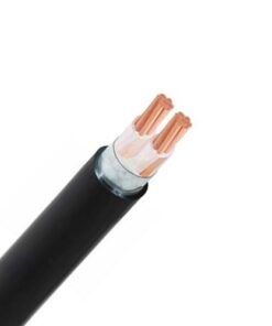 Hình ảnh mô phỏng cấu trúc lõi cáp Cadivi CXV/DSTA 2 lõi