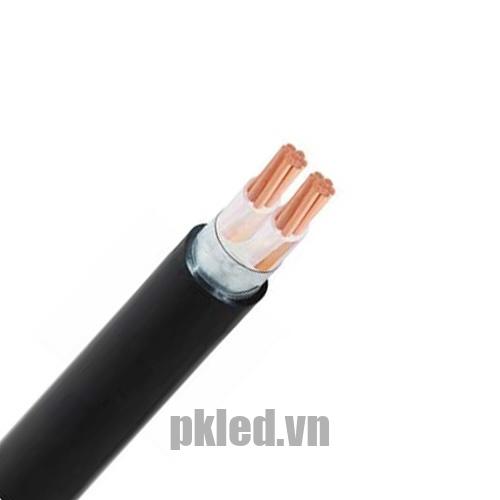 Hình ảnh mô phỏng cấu trúc lõi cáp Cadivi CXV/DSTA 2 lõi