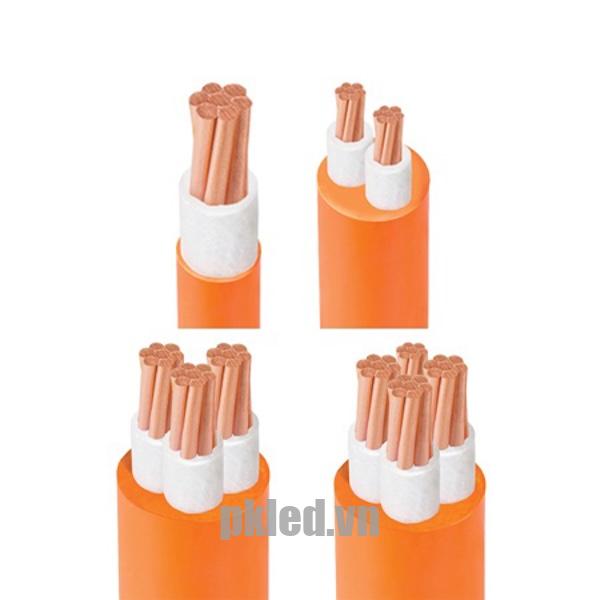 Hình ảnh mô phỏng cấu trúc lõi cáp Cadivi CXV/FRT