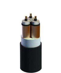 Hình ảnh mô phỏng cấu trúc lõi cáp Cadivi CXV/SE