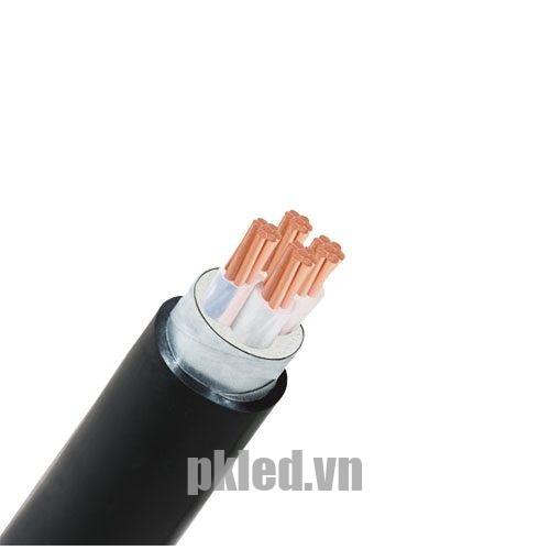 Hình ảnh mô phỏng cấu trúc lõi cáp Cadivi CVV 4 lõi