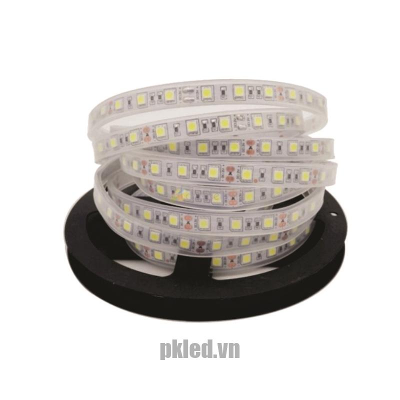 LED dây trang trí 24VDC Duhal LDC0241 điện áp thấp an toàn