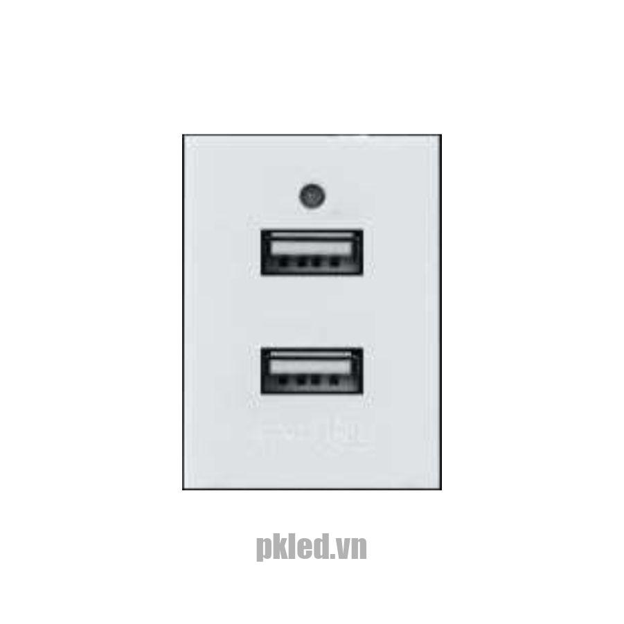 Ổ cắm đôi USB size M 5V 2A Duhal S1B622