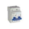 MCB 2 cực 100A 10kA Duhal S1D200 thiết bị bảo vệ dòng lớn