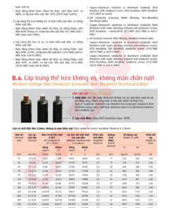 Trang 26- Tài liệu kỹ thuật đây trung kế Cadivi