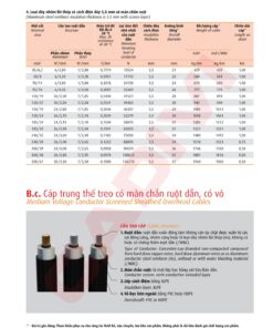 Trang 29- Tài liệu kỹ thuật đây trung kế Cadivi