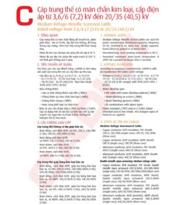 Trang 31- Tài liệu kỹ thuật đây trung kế Cadivi