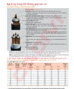 Trang 33- Tài liệu kỹ thuật đây trung kế Cadivi