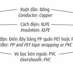 Hình ảnh mô phỏng cấu trúc lõi cáp Cadivi CVV