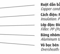 Hình ảnh mô phỏng cấu trúc lõi cáp Cadivi DK_CVV