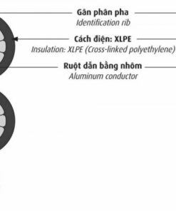 Hình ảnh mô phỏng cấu trúc lõi cáp Cadivi LV_ABC