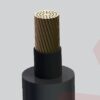 Cadivi CX1V/WBC - Hình dây cáp điện
