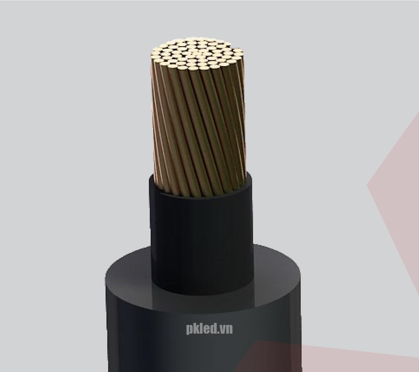 Cadivi CX1V/WBC - Hình dây cáp điện