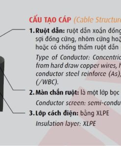 Cadivi Cấu toạ cáp CX1V/WBC