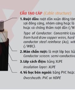 Hình cấu trúc dây cáp Cadivi AX1V
